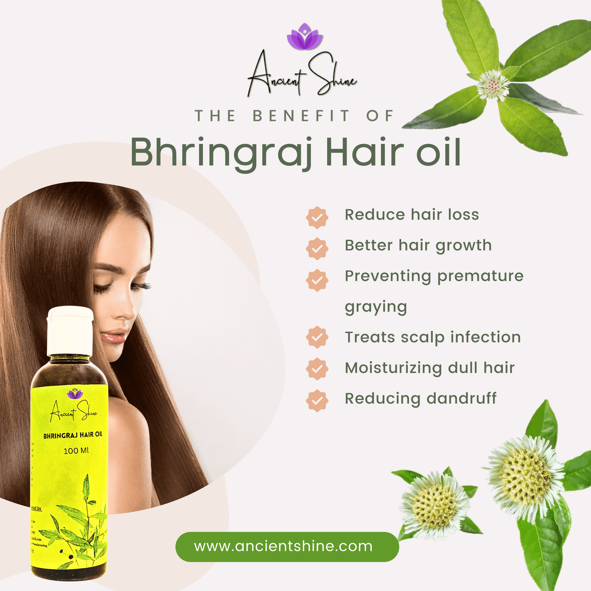 Ancient Shine Handmade Bhringraj Oil for Hair Growth - Ancient Shine