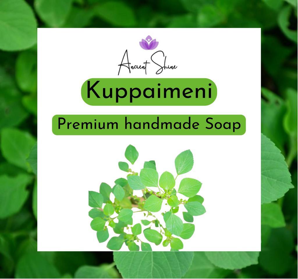 Kuppaimeni Soap-குப்பைமேனி சோப் | Handmade Soap Cold Process - Ancient Shine