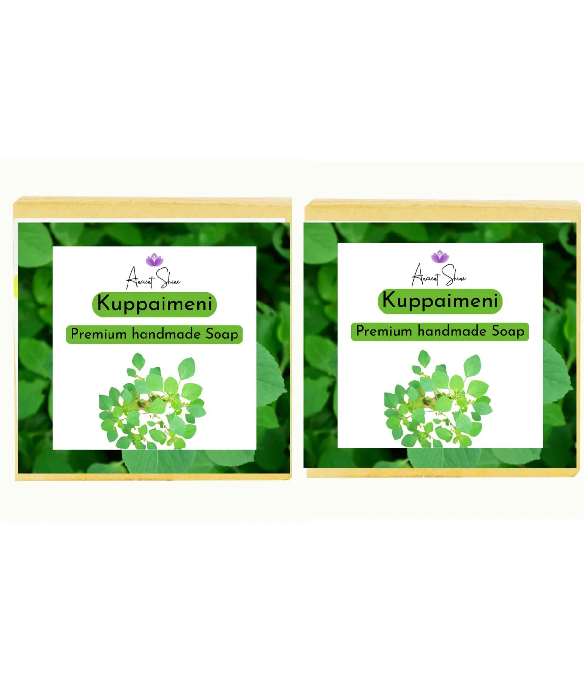 Kuppaimeni Soap-குப்பைமேனி சோப் | Handmade Soap Cold Process